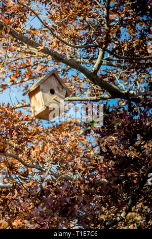 Holz- selbstgemachte Vogelhäuschen hängend an einem Zweig der Baumstruktur Stockfoto