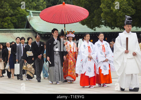 Junge glückliche Bräutigam und Braut während traditionelle japanische Hochzeit Zeremonie am Meiji-jingu Schrein in Tokio, Japan, am 23. November 2013. Stockfoto