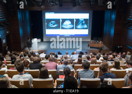 Medizinische Experten, einen Vortrag zur Diagnose in der Medizin am 12. Winfocus World Congress am 8. September 2016 in Ljubljana, Slowenien. Stockfoto