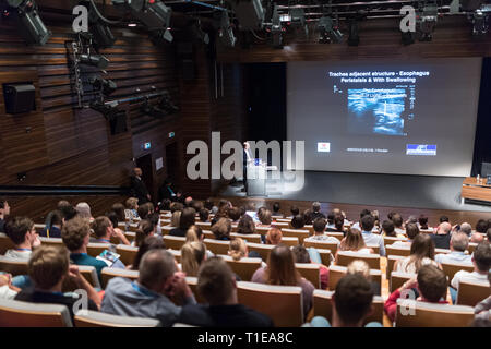 Medizinische Experten, einen Vortrag zur Diagnose in der Medizin am 12. Winfocus World Congress am 8. September 2016 in Ljubljana, Slowenien. Stockfoto