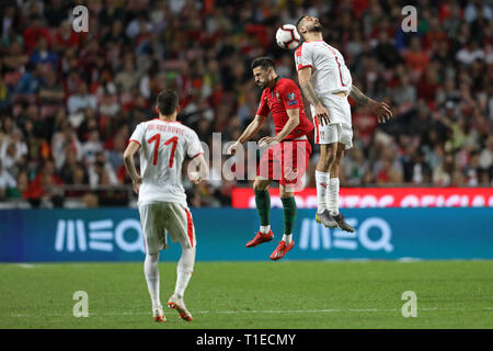 Pizzi (Luís Miguel Afonso Fernandes) von Portugal (L) Mias für den Ball mit Aleksandar Mitrovic von Serbien (R) während der Qualifikation - Gruppe B Euro Fußball 2020 Match zwischen Portugal vs Serbien. (Final Score: Portugal 1 - 1 Serbien) Stockfoto