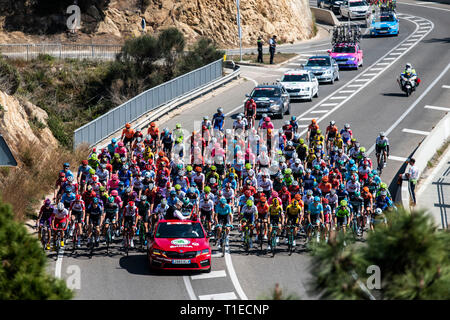 Calella, Katalonien, Spanien. 25 Mär, 2019. Volta a Catalunya radfahren Phase 1, nach Calella Calella; das Peloton der 2019 Radfahren Volta a Catalunya Stufe 1 Calella Credit: Aktion plus Sport/Alamy leben Nachrichten Stockfoto