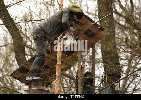 26. März 2019, Nordrhein-Westfalen, Düsseldorf: Aktivisten hängen von einem Baumhaus im Hambacher Forst. Will die Polizei eine verdächtige fäkale Mörtel aus einem Baumhaus im Hambacher Forst zu holen. Der Bereich, in dem mehrere Baumhäuser befinden abgesperrt wurde, eine Polizeisprecherin sagte am Dienstag. Die Person ist, eine Straftat begangen zu haben. Foto: David Young/dpa Stockfoto