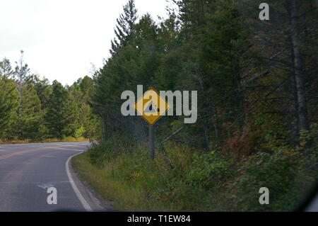 Gelbe fallen Rock Road Sign. Grüne Bäume und geschwungene Straße. Stockfoto