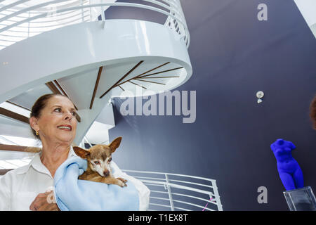 Miami Beach Florida, Miami Beach, Botanischer Garten, Tour of, Miami Beach, Gärten, Venetian Causeway, Haushäuser Häuser Häuser Residenz, Gehäuse, Häuser Stockfoto