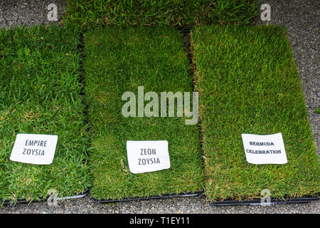 Miami Florida, Kendall, Tropical Park, Miami International Agriculture & Cattle ShowTrade, Agri-Geschäft, Homestead Plant Exhibit, Gras, Rasen, Sod, Rasen, Land Stockfoto