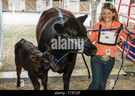 Miami Florida, Kendall, Tropical Park, Miami International Agriculture & Cattle Show, Zucht, Viehhandel, Agrargeschäft, Mädchen, Jüngere, weibliche Kuh Stockfoto