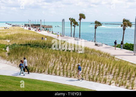 Miami Beach Florida, South Pointe Park, Point, große Wiedereröffnung, Government Cut, Schifffahrtskanal, Dünen, Gräser, Angelsteg, Gehweg, Mann Männer männlich, Frau fema Stockfoto