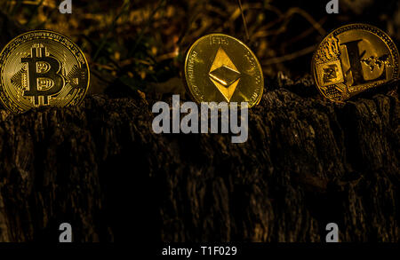 Goldmünzen (Digital virtuelles Geld) auf einem dunklen Hintergrund. Metall gold Geld Kredit bitmoy Münzen - bitcoin (BTK), lithecoin (LTC), etherum (ETH); digitale Stockfoto