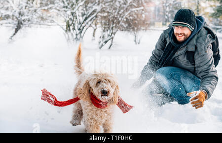 Schneeballschlacht Spaß mit Pet und seinen Besitzer in den Schnee. Winterurlaub Emotion. Nette Pfütze Hund und Mann spielt und läuft in den Wald. Film Filter Stockfoto