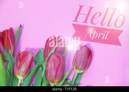 Banner hallo April. Hallo Frühling. Der zweite Monat des Frühlings. Karte Hallo Neuer Monat Willkommen Stockfoto