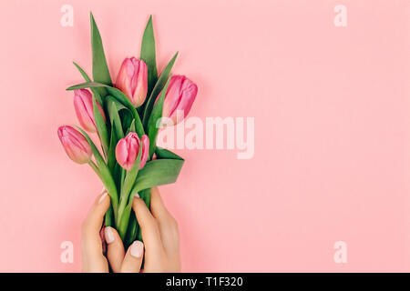 Trendy Feder Maniküre. Weibliche Hände mit Nail Design auf rosa Hintergrund Holding rosa Tulpe Blumen. Kopieren Sie Platz. Stockfoto