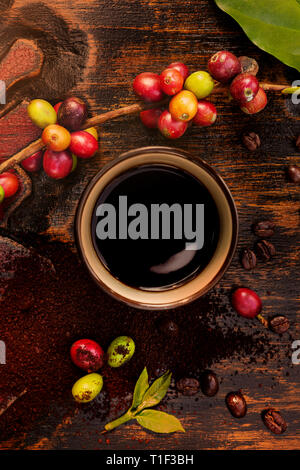 Frisch gebrühter Kaffee, Kaffee Obst und gerösteten Bohnen von oben auf Holz- Hintergrund. Stockfoto