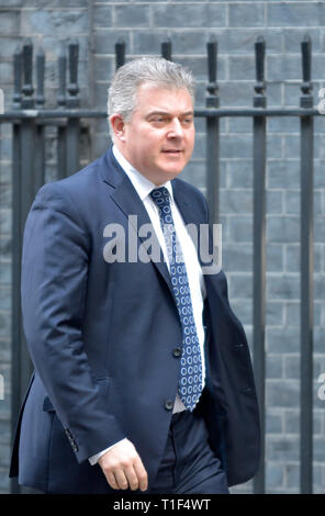 Brandon Lewis MP (Vorsitzender der Konservativen Partei und Minister ohne Portfolio) Verlassen der Downing Street nach einer Kabinettssitzung, 25. März 2019 Stockfoto