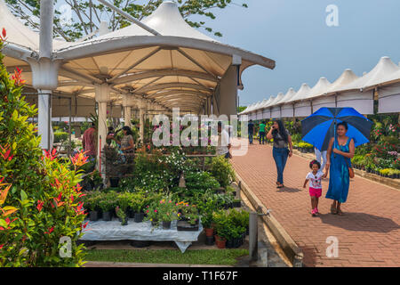 An einem heißen Tag im Februar, Menschen genießen Sie die große Auswahl von Pflanzen zum Verkauf an ein open air Garten Markt in Colombo, Sri Lanka. Stockfoto