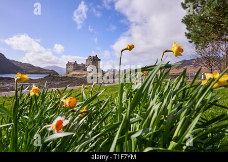 Eilean Donan Castle (gälisch: Eilean Donnain) ist eine kleine Insel, wo drei Gezeiten meer Seen treffen, Loch Duich, Loch Long und Loch Alsh, im westlichen Stockfoto