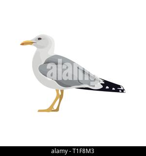 Die gemeinsame seagull Mew Gull europäischen Silbermöwe. Vector Illustration. Element für Ihr Design. Ruhe neugierig stehend Sea Bird Stock Vektor