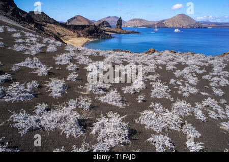 Bartolome Insel in den Galapagos Inseln in Ecuador Stockfoto