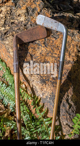 Hickory shafted Golfvereine langlebig retro Sportgeräte Bild mit Kopie Raum Stockfoto