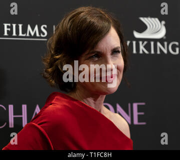 New York, Vereinigte Staaten. 25 Mär, 2019. Elizabeth McGovern tragen Kleid von Christopher Kane besucht New York Premiere des Chaperon von PBS und Meisterwerk Filme bewirtet an Museum für Moderne Kunst Credit: Lev Radin/Pacific Press/Alamy leben Nachrichten Stockfoto