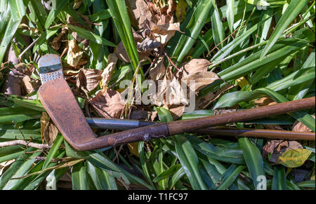 Hickory shafted Golfvereine langlebig retro Sportgeräte Bild mit Kopie Raum Stockfoto