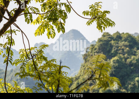 Blick auf die Berge rund um Huong Pagode oder Parfüm Pagode, mein Duc Bezirk, Vietnam. Stockfoto