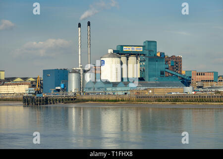 Tate & Lyle Zuckerfabrik, Themse, East London, Vereinigtes Königreich Stockfoto