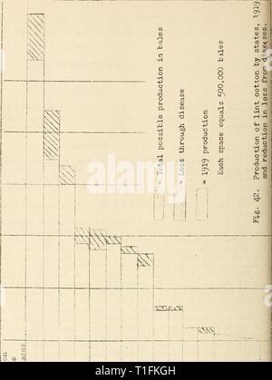 Krankheiten aus Baumwolle, Zuckerrohr, Baumwolle, Zuckerrohr, Wald, Bäume, Zierpflanzen und verschiedene Pflanzen in den Vereinigten Staaten 1919 diseasesofcotton 11 mart Jahr: 1920 275'1? 1 1 E tât c o c • H* ri c c Oh CD o+j cd UJ CO 1 1 0; o Lo o o4J • H als in C'iH CO ai-CD mit CD-ABL. Cf) D • H0) CD CD ein; C) • H CO-CD f-; (- * VH C*H - H E CD O P-. $ -, Q jJ O CH a> (H03 o CO O CM O O rH rH o CO o c 4-3 • d-a-r-t C O 3 O (d • H T 3 s • 4 J CO O CD O3 CD: 3 O4J CD CD rH U rH Cd C CD CD rH o CO rechts (H3 J CO Cd Cd o QO CO Oi G-H • H XJ rH-Cd Ph CO-+-3 CO: 3 o O4J (0-t-l • P-cd Stockfoto