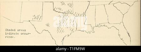 Krankheiten aus Baumwolle, Zuckerrohr, Baumwolle, Zuckerrohr, Wald, Bäume, Zierpflanzen und verschiedene Pflanzen in den Vereinigten Staaten 1919 diseasesofcotton 11 mart Jahr: 1920 28 l Die Art der Boden schien, den Schweregrad und dictritution der Krankheit in Arkansas als deutlich mehr Verletzungen zu beeinflussen auf die verarmten Böden - wie Schiefer Boden gefunden wurde, grob sandigen Böden und den Fluss tottoms - als auf, v/hich die erforderlichen Anlagen die Anforderungen an Lebensmittel enthalten. In Georgien, wo große Verluste in der ICH 918 aufgetreten, favoratle v/eather Bedingungen mit dem Einsatz von mehr Kali in den Düngemitteln impr Stockfoto