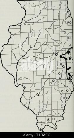 Die Verteilung der periodischen Zikaden die Verteilung der periodischen Zikaden in Illinois distributionofpe 91 stan Jahr: 1975 8 Fulton County, bis Juni 28 in De Witt County. Sing-ing wurde bis zum 28. Juni hörte, auch in De Witt County und kennzeichnende (welke Zweige, die im Ei girdled waren - Verlegung) auf dem gleichen Datum in dem County wurde festgestellt. Anscheinend diese Brut ist disjunct in Illinois, die westlichen Grafschaften, die er bewohnt, Braun, Fulton, Henderson, Knox, McDonough, Schuyler, und Warren und den östlichen Grafschaften, Champaign. De Witt und Piatt. Intei - Vening Grafschaften, Teilnehmer Stockfoto