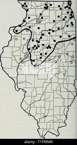 Die Verteilung der periodischen Zikaden die Verteilung der periodischen Zikaden in Illinois distributionofpe 91 stan Jahr: 1975 10 alle 65 oder 78 Jahre bei einem Teil der gesamten Palette der Großen südlichen Brüten in Ilhnois, aber nur einmal alle 221 Jahre am jeweiligen Ort. Eine begrenzte Anzahl von Exemplaren dieser Brut wurden in die zwillingsstädte Champaign-Urbana in 1959 und 1972 gesammelt. Sie wurden sogar in jenen Teilen der Städte, die sich ursprünglich Prärie oder Land weniger als 25-.50 Jahre zuvor, aber die sind nun besetzt mit Bäumen angebaut. Mäßiger Gesang war auch gehört Stockfoto