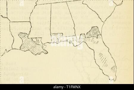 Krankheiten aus Baumwolle, Zuckerrohr, Baumwolle, Zuckerrohr, Wald, Bäume, Zierpflanzen und verschiedene Pflanzen in den Vereinigten Staaten 1919 diseasesofcotton 11 mart Jahr: 1920 284: I: o. Von: Jo. von Bundesland: County: Bezirke Stute: Grafschaft Bezirke: Besuchte vi stationiert, Georgien: V/ayne: 1: Louisiana Plaquemines 7 iPierce: 1'ointe Coupé: 7. Klammern: 1 Kapids 5 St. Charles 10 IvissisEippi Harrison 1 St. James 14 Jackson 1 St. Johr der Täufer: 12 Jefferson 1 St. Landry 8 Adams 1 TangipaliOa 1, Terre Ponne: 2 Louisiana Besteigung Vermillion 2 Annahme 1: Orleans 2 Avoyelles 1: Iteria2EA Stockfoto