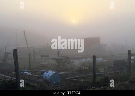 Am frühen Morgen Nebel im Norden Oxfordshire Dorf Hook Norton über das Dorf Zuteilungen Stockfoto