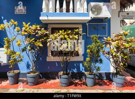 Haus im Kolonialstil mit Blumentöpfen in Fontainhas, Panaji (Panjim), Goa, Indien Stockfoto