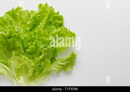 Frische Salatblätter auf einem weißen Hintergrund. Blick von oben. Das Konzept der gesunden Ernährung Stockfoto