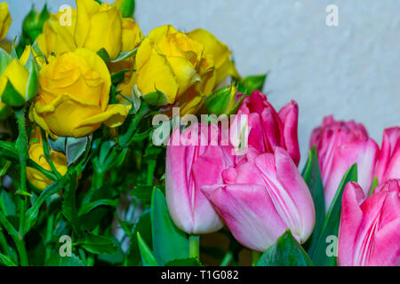 Gelbe Rosen und Tulpen in einer Vase für den Urlaub Stockfoto