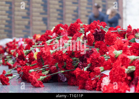 Rote Nelke Blumen auf einem Denkmal aus Marmor. Denkmal für die gefallenen Soldaten im Zweiten Weltkrieg. Sieg in Europa. Stockfoto