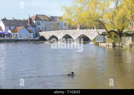 Brücke an Bürgel, Hampshire im Frühjahr Stockfoto