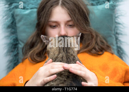 Porträt der jungen Frau mit niedlichen Katze. Weiblich umarmt sie niedlich lange Haare Kitty Stockfoto