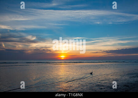 Goldenen Sonnenuntergang über einem Strand der Nordsee Stockfoto