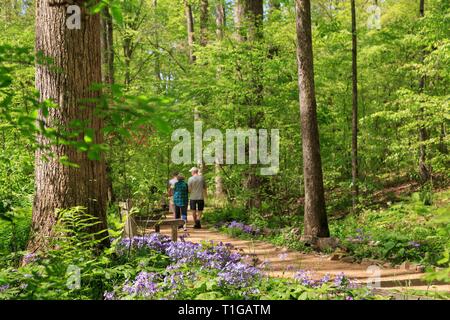 Gruppe von Besuchern nach South Carolina Botanical Garden, Clemson, South Carolina. Stockfoto