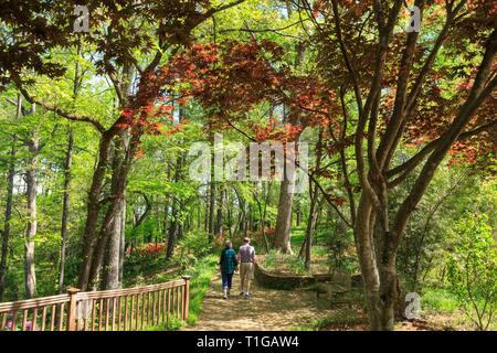 South Carolina Botanical Garden, Clemson, South Carolina. Stockfoto