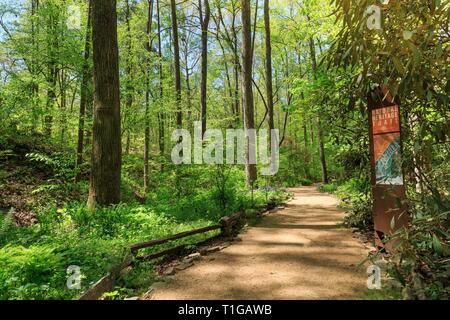 South Carolina Botanical Garden, Clemson, South Carolina. Stockfoto