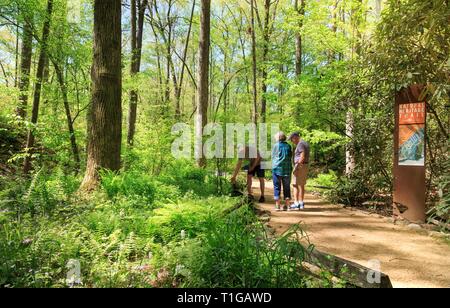 South Carolina Botanical Garden, Clemson, South Carolina. Stockfoto