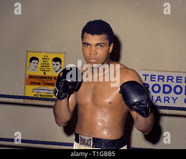 Boxer Cassius Marcellus Clay Jr. alias Muhammad Ali, ca. 1967 Datei Referenz Nr. 1003 827 THA Stockfoto