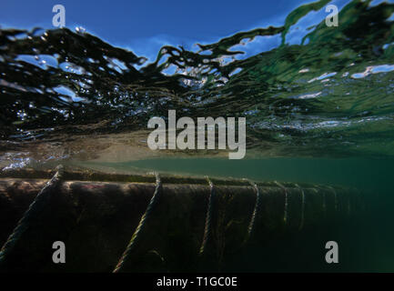 Ein Schuss des klaren Wassers in Salcombe Mündung im Sommer, neben dem Steg. Stockfoto