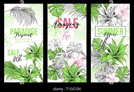 Satz skizziert Kokosnuss oder Königin Palmen mit Blättern. Paradies Verkauf oder Bietet vertikale Vektor Banner, Wüste coco Flora, Hibiskus Blume. Laub von subtropischen Farn. Grüne palmae und arecaceae. Stock Vektor