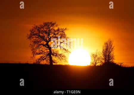 Die Sonne hinter Bäumen bei Swillington Gemeinsamen. Stockfoto