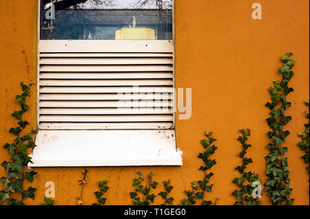 Seite von Gebäude mit Fenster Reflexionen mit Luftdüsen und Reiben und Efeu wächst an der Wand. Stockfoto