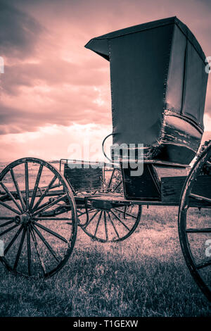 Eine geheimnisvolle und einsame Ansicht eines antiken Stil mit zwei Sitz Surrey oder Buggy, bereit zum Anhängen, die in der Prärie, in Kupfer Ton Stockfoto